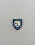 Pin Huachipato escudo